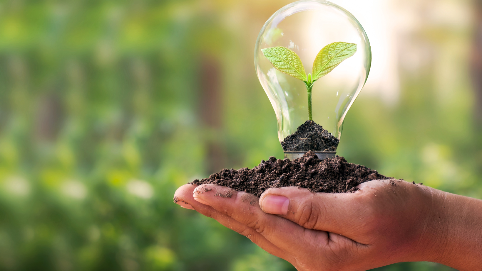 Livelihood and CSR sustainability