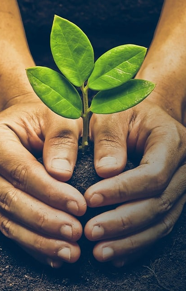 Livelihood and CSR Sustainability